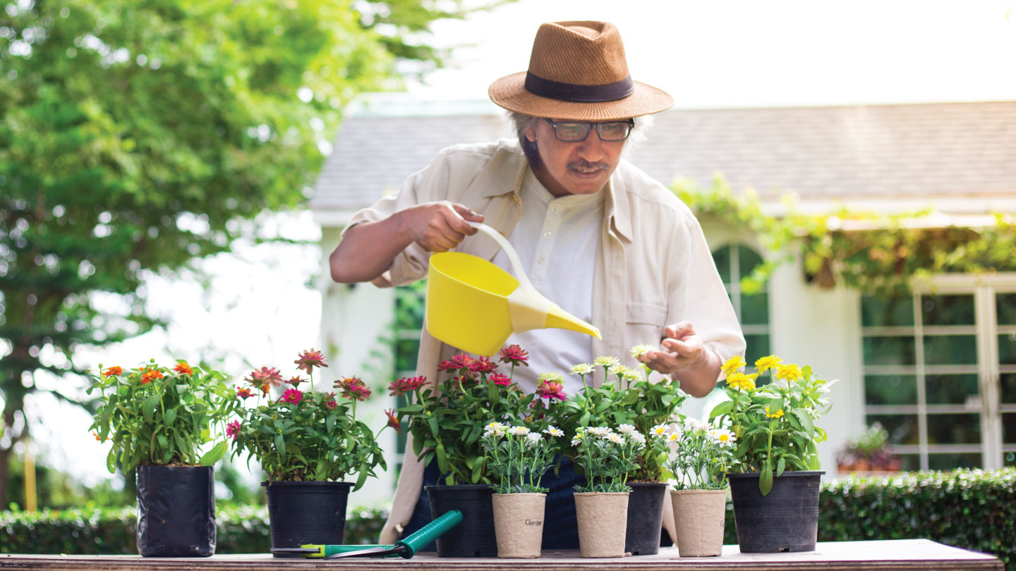 The Blueprint For Ageing With Joy